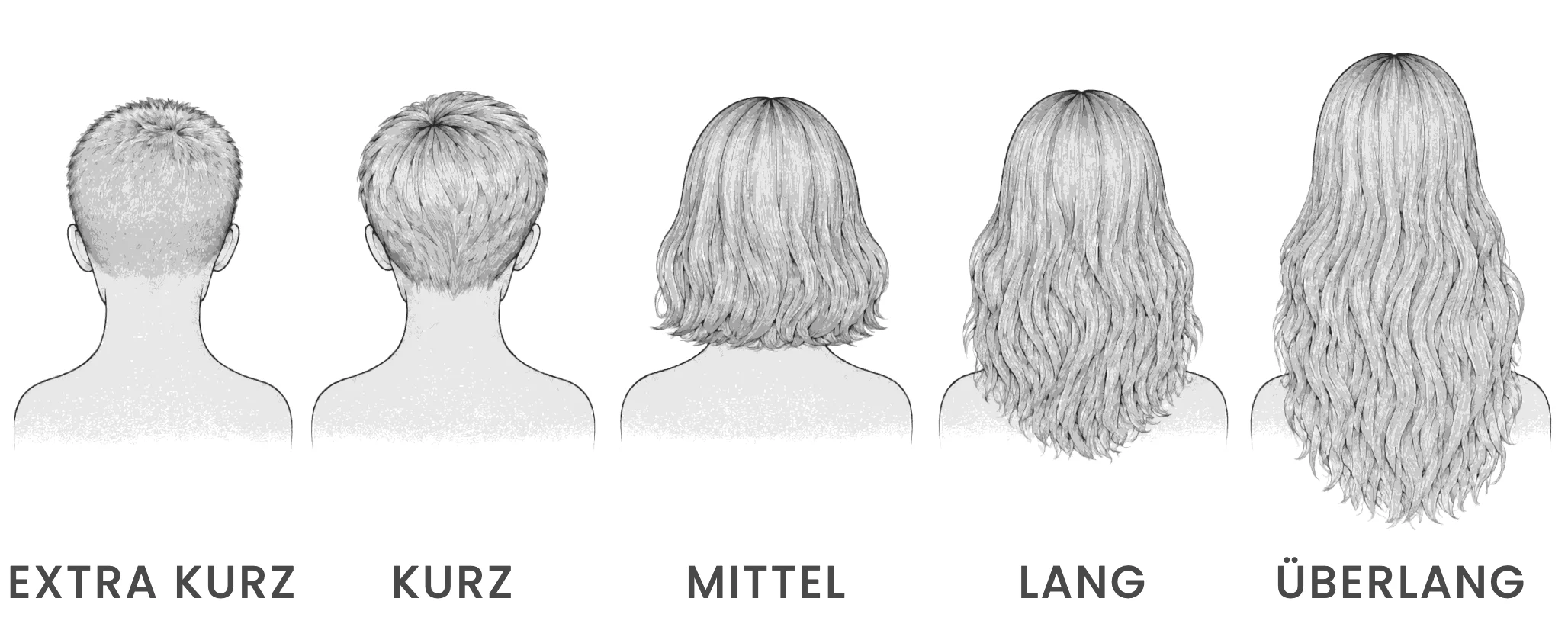 Fünf Haarlängen im Vergleich: extra kurz, kurz, mittel, lang und überlang
